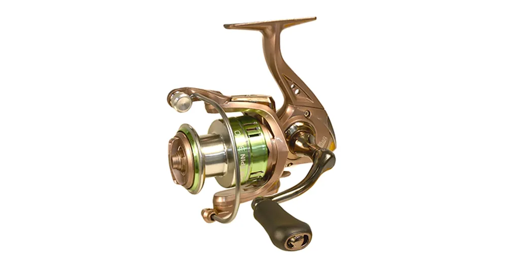 WIZARD ZANDER SPIN 5+1CS 2000 Lage Kosten