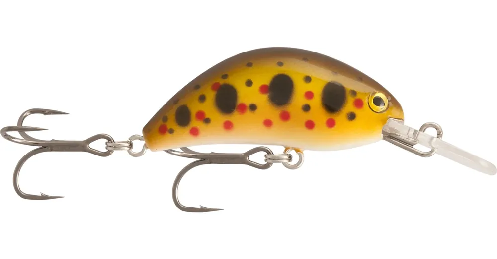 Seizoensaanbieding Rapture Pro Hot Bean Area S Ydv 3.5g 40mm wobbler