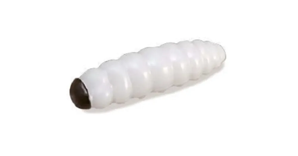 Trabucco Yummy Bait Camola white 8 db plasztik csali Shop Nu