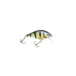 HESTER PRUSSIAN CARP 5CM 6G 0,5-1,5M 061 Exclusieve Aanbieding