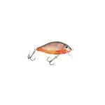 HESTER PRUSSIAN CARP 5CM 6G 0,5-1,5M 116 Gratis Retour