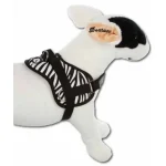 Betaalbaar KT. AC. Doxtasy Hám zebra XXS (39-54cm)