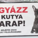 Betrouwbaar Kutyatábla -fém, (francia bulldog kölyök) 9x13cm
