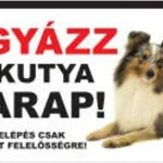 Beperkte Voorraad Kutyatábla - fém (sheltie) 9x13cm