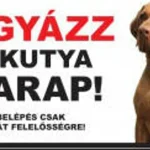 Kutyatábla - fém (magyar vizsla) 20x40cm Flitsaanbieding