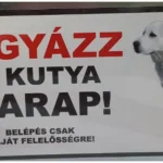 Favoriet Kutyatábla - fém (KÁJ) 9x13cm