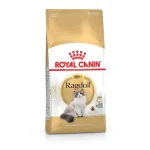 Koop Online Royal Canin Ragdoll Adult - Ragdoll felnőtt macska száraz táp 2 kg