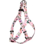 Koop Vandaag Flamingo Step & Go Sera hám 45-60 cm