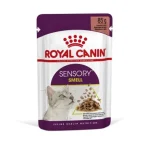 Koop Vandaag Royal Canin Sensory Smell - szószos nedves táp felnőtt macskák részére 12 x 85 g