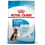 Royal Canin Maxi Puppy - nagytestű kölyök kutya száraz táp 3 kg Koopje