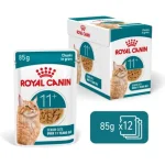 Beperkte Voorraad Royal Canin Ageing 11+ - szószos nedves táp idős macskák számára 12 x 85 g