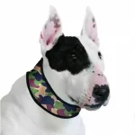 Hoge Kwaliteit Aqua Coolkeeper Cooling collar - hűtőnyakörv (terepszínű) kutyák részére (4XL) 70-85cm/10cm