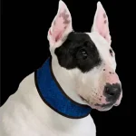 Premium Aqua Coolkeeper Cooling collar - hűtőnyakörv (sötétkék) kutyák részére (3XL) 60-70cm/8,5cm